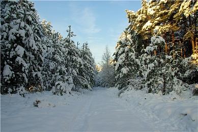 2024年已确定发售日期游戏列表 多款大作来袭